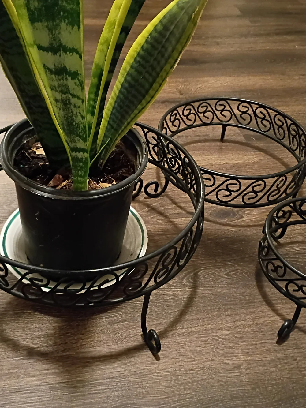 Set of 3 Decorative Metal Plant Stands - Black Scrollwork